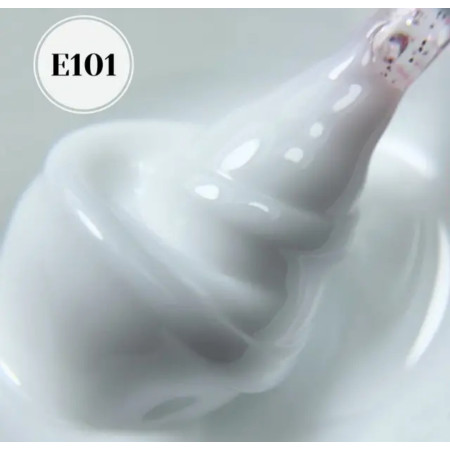 E101